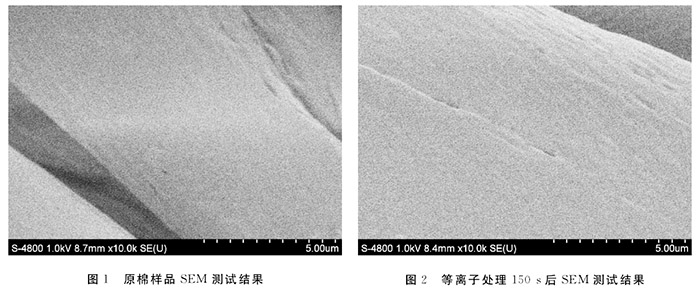 等离子处理前后棉织物表面形貌对比