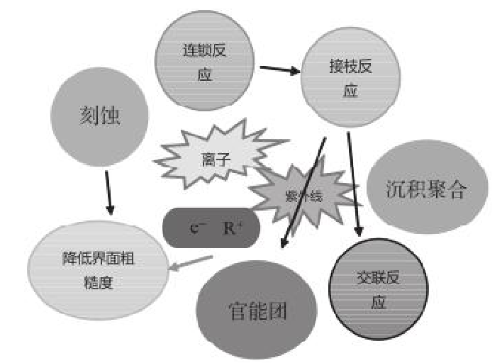 等离子体活性粒子与界面相互作用模型